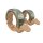 Knog Oi Classic Small Fahrradklingel, 22.2mm, sand brown/matte desert sage