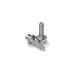 Paul Component axle bolts and washers HR, high flange, pair, silver
