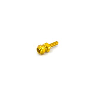 Paul Component Baby Groovy Barrel Adjusters Zugeinsteller, Paar, gold
