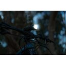 Knog Blinder 80 + Plus Twinpack, StVZO, black (500 / 20 lumens)