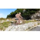 NG Sports outdoor folding chair, incl. 4 Velcro straps, aluminum/600D Tetorn, black/white