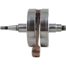 GRUPPO ALBERO MOTORE CR2027