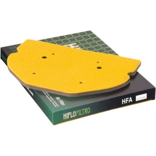 Hiflo Filtro Luftfilter 10111210