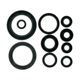Moose Racing MSE MTR SEALS CRF450 02 822178