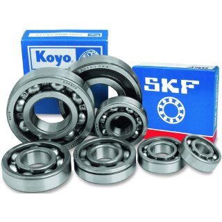 Athena Lager 6204/2RS1-SKF MS200470140DD