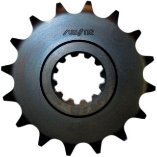 Ritzel 530 17T 55617
